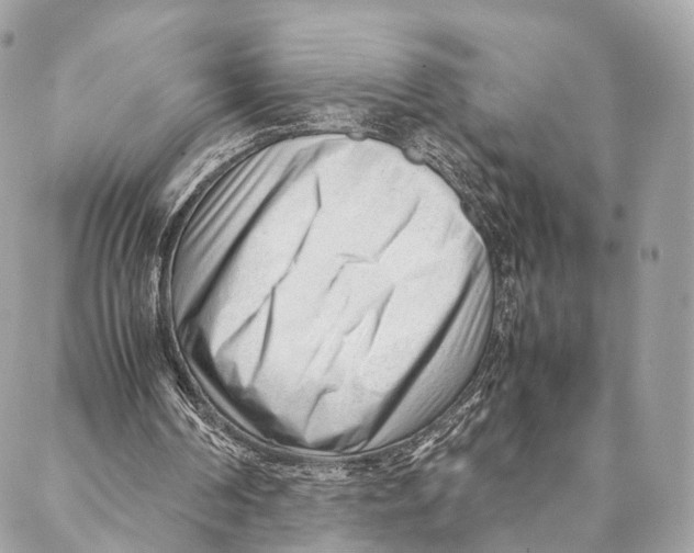 X0000087390194200705111809