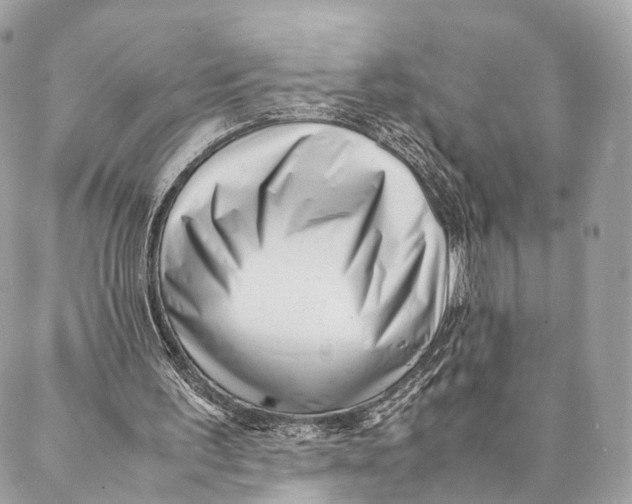 X0000087390195200705111809