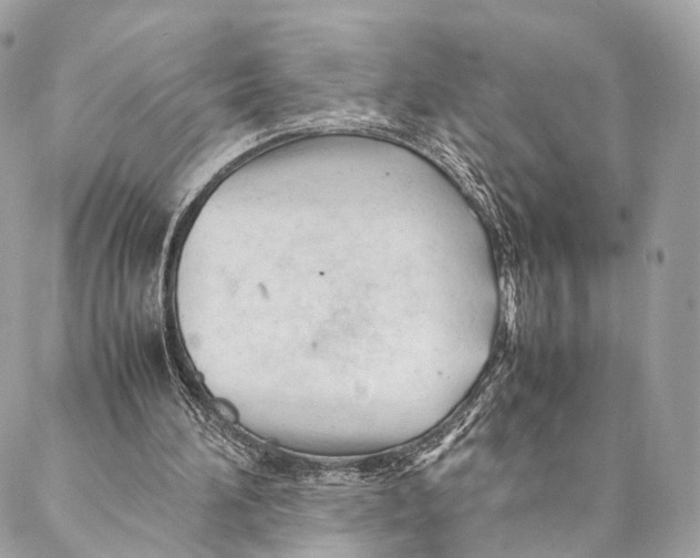 X0000087390196200705111809