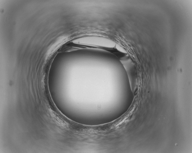 X0000087390197200705111809