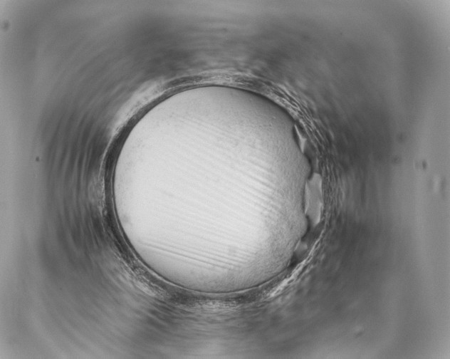 X0000087390198200705111809