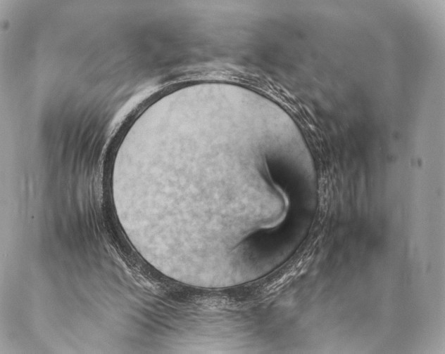 X0000087390200200705111809