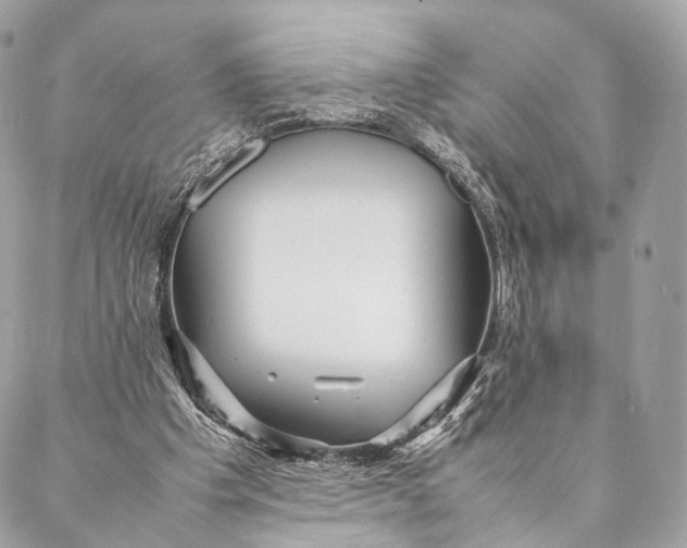 X0000087390201200705111809