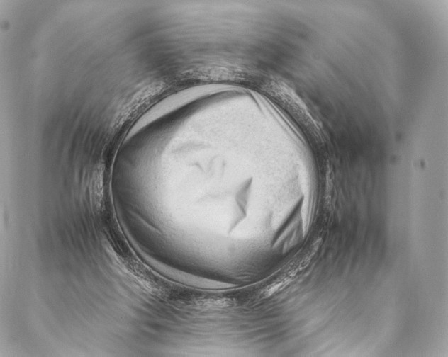 X0000087390202200705111809