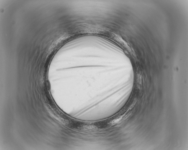 X0000087390203200705111809