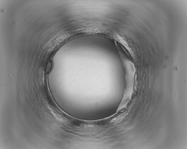 X0000087390205200705111809