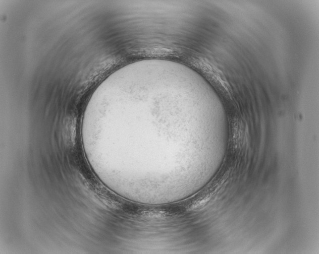 X0000087390206200705111809