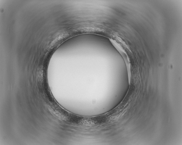 X0000087390207200705111809