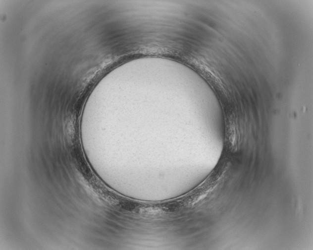 X0000087390208200705111809