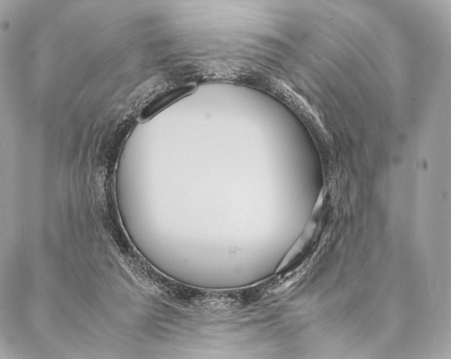 X0000087390209200705111809