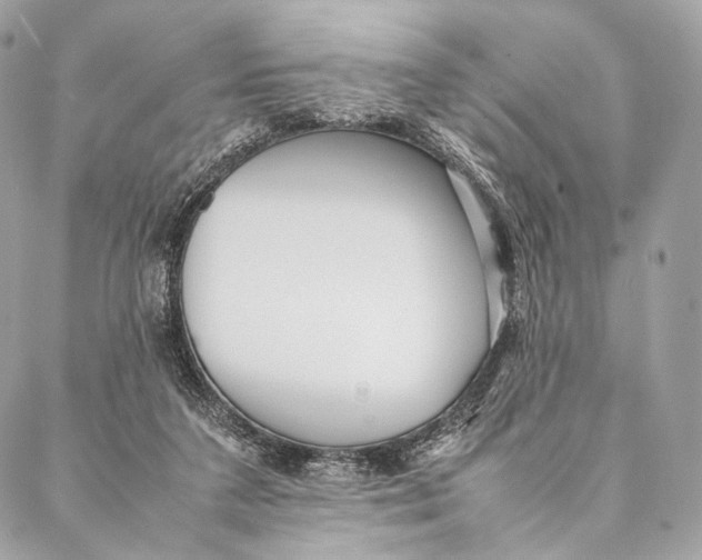 X0000087390211200705111809