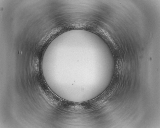 X0000087390212200705111809