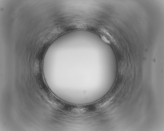 X0000087390213200705111809