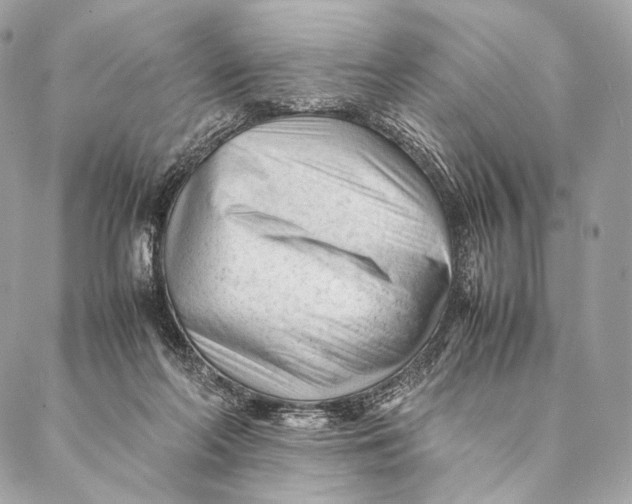 X0000087390214200705111809