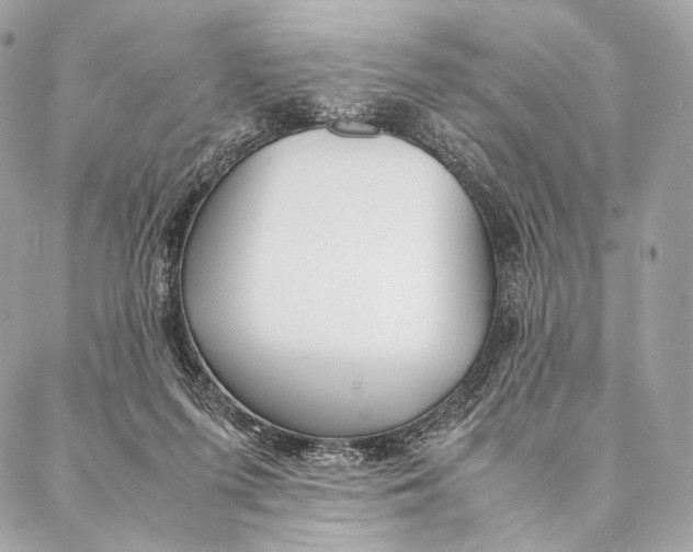 X0000087390215200705111809