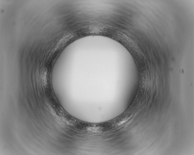 X0000087390216200705111809