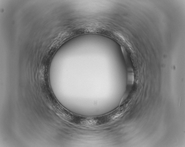 X0000087390217200705111809