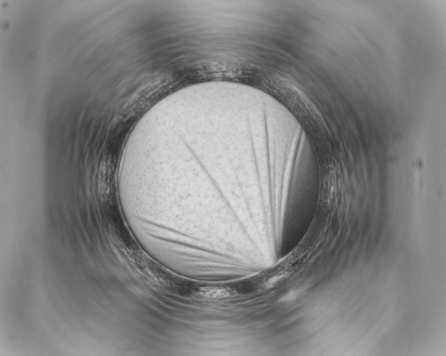 X0000087390218200705111809