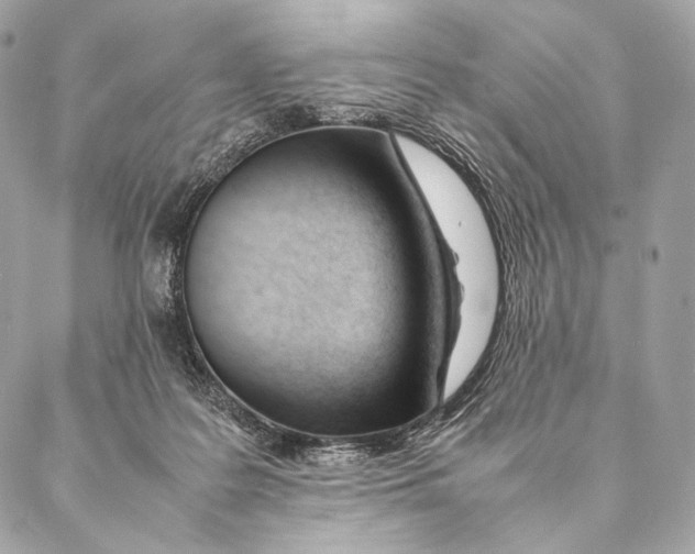 X0000087390219200705111809