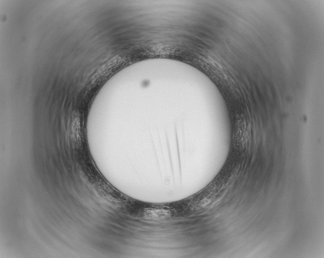 X0000087390220200705111809