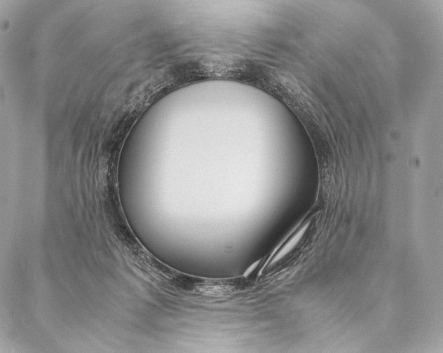 X0000087390221200705111809