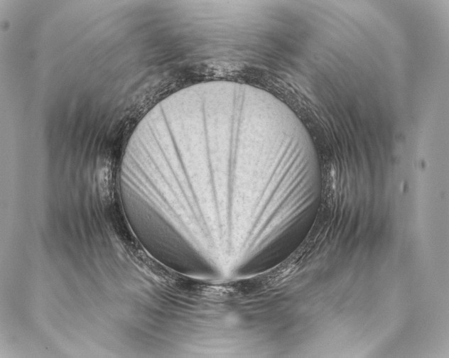 X0000087390222200705111809