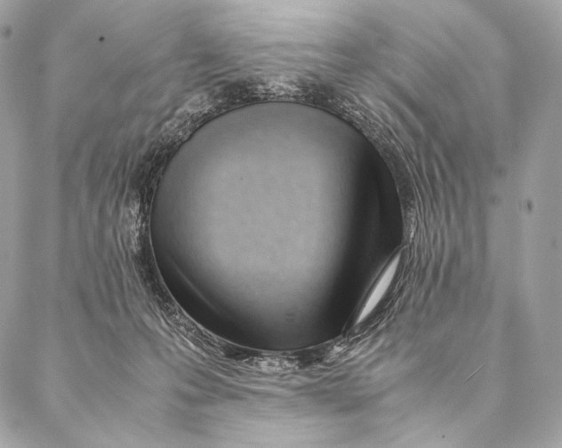 X0000087390223200705111809