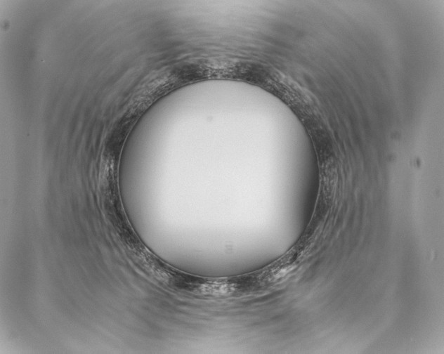 X0000087390225200705111809