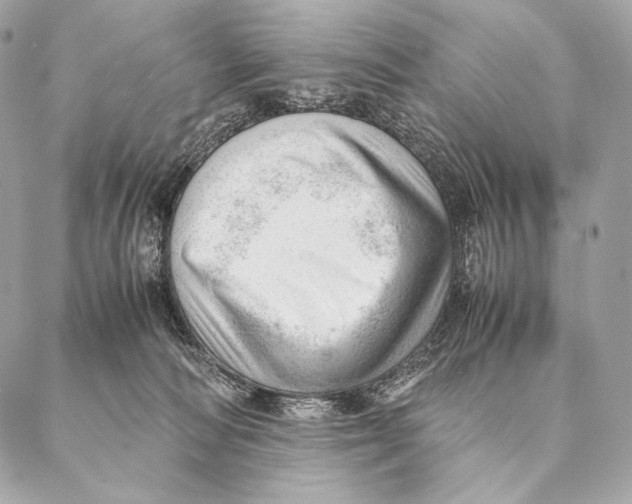 X0000087390226200705111808