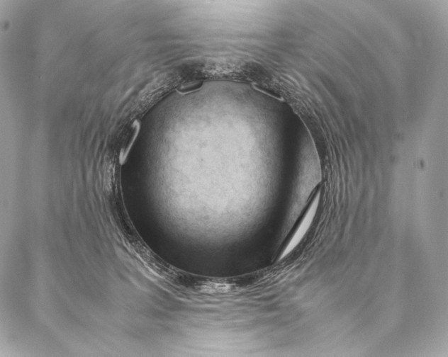 X0000087390227200705111808