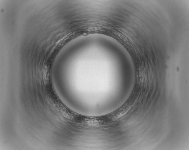 X0000087390228200705111808