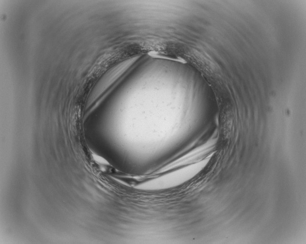 X0000087390229200705111808