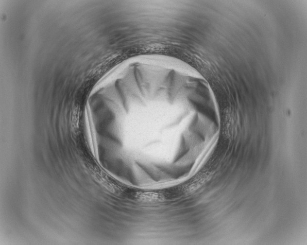 X0000087390230200705111808