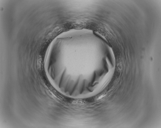 X0000087390231200705111808