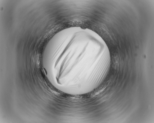 X0000087390232200705111808