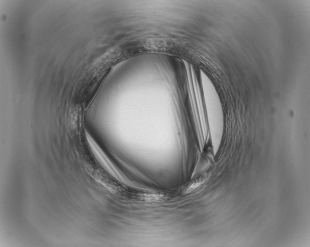 X0000087390233200705111808