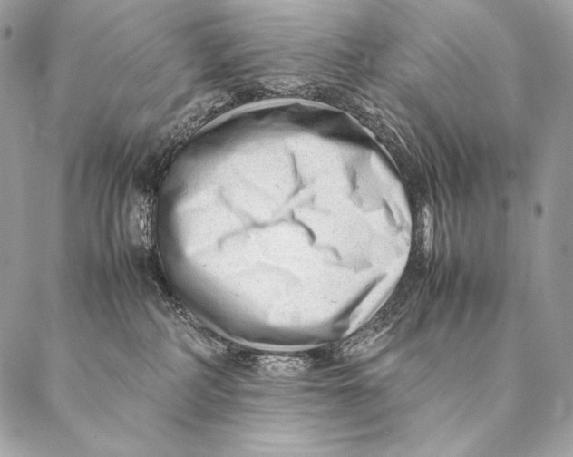 X0000087390234200705111808