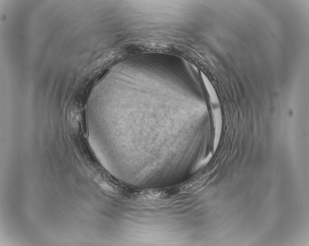 X0000087390235200705111808