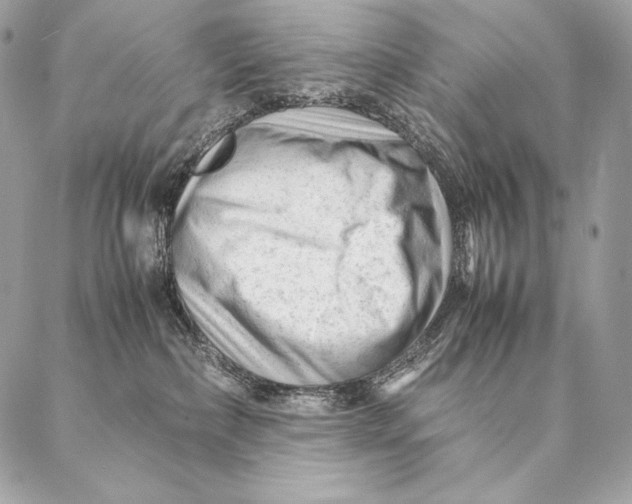 X0000087390236200705111808