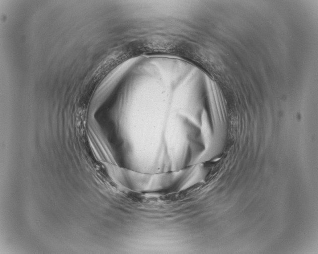 X0000087390237200705111808