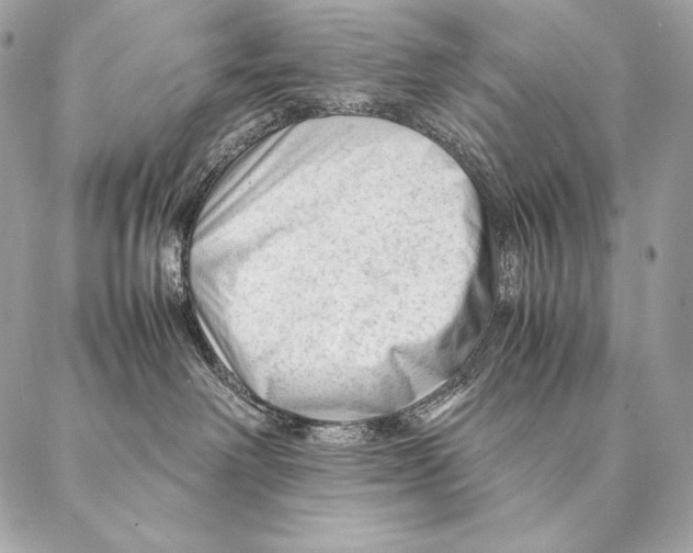 X0000087390238200705111808