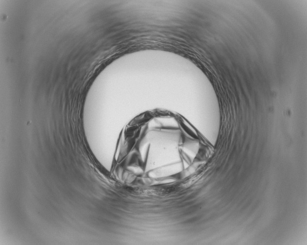 X0000087390239200705111808