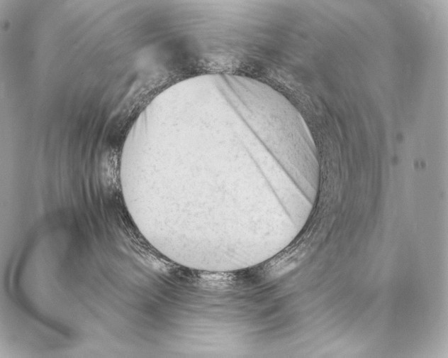 X0000087390240200705111808