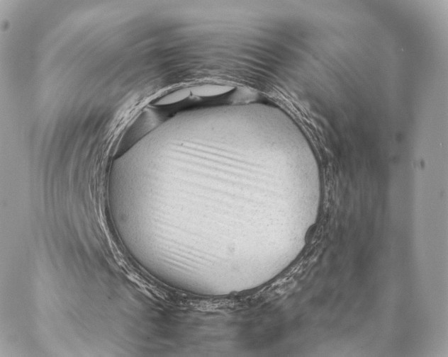 X0000087390241200705111807