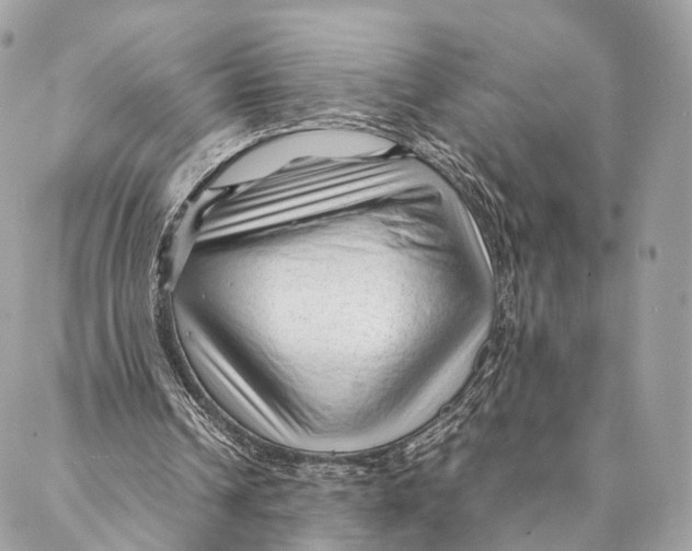 X0000087390242200705111807