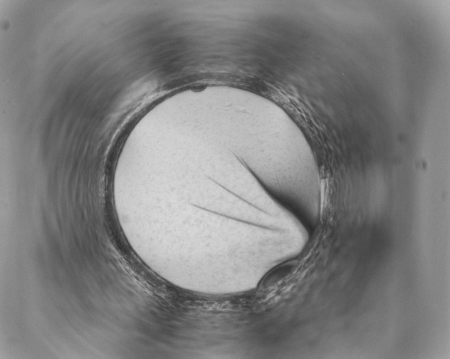 X0000087390243200705111808