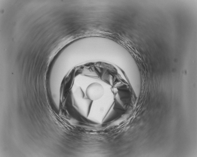 X0000087390244200705111808