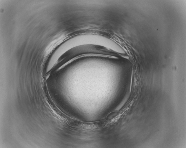 X0000087390245200705111808