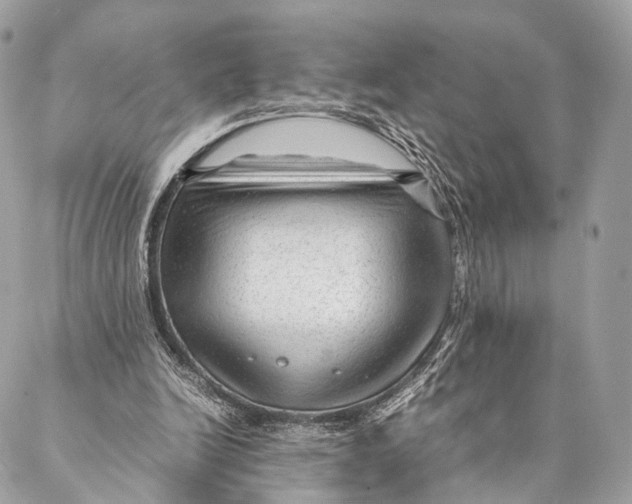 X0000087390246200705111808