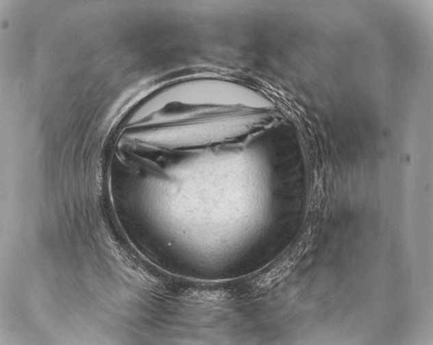 X0000087390247200705111808